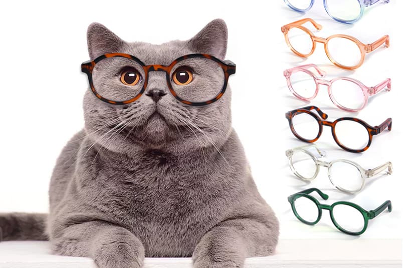 Оптика MasterGlasses