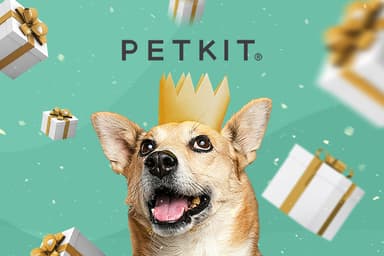 PETKIT