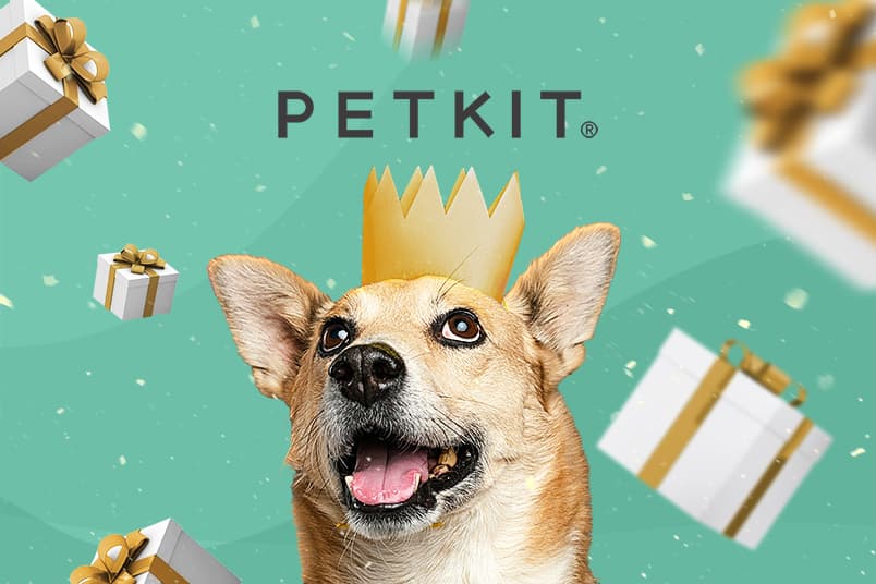 PETKIT