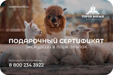 Парк Альпак «Пача Мама» г. Сочи