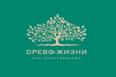 SPA пространство Древо жизни